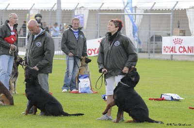 Remise des Prix 098.JPG - CHIENPLUS.COM